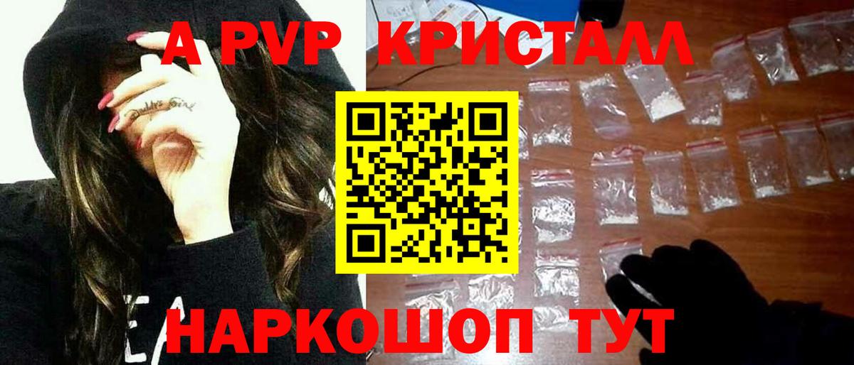 как найти закладки  Альфа ПВП крисы CK  Вход с VPN  Новый Уренгой  A-PVP СК  A-PVP СК  А ПВП 