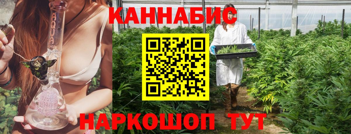 Каннабис планчик Новый Уренгой